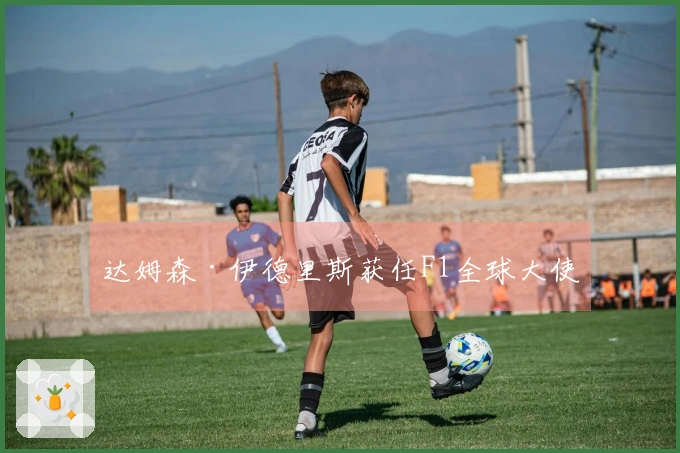 达姆森·伊德里斯获任F1全球大使