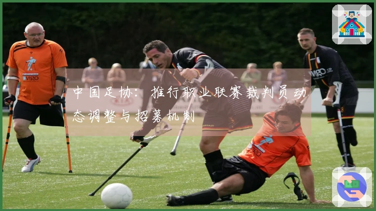 中国足协：推行职业联赛裁判员动态调整与招募机制
